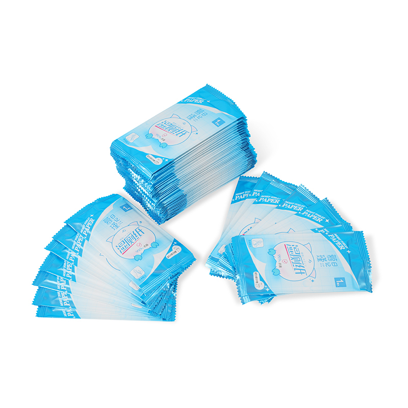 Botanicals & Aloe Single-Use Eco-Friendly Flushable Wet Wipes Safe for Septic Systems