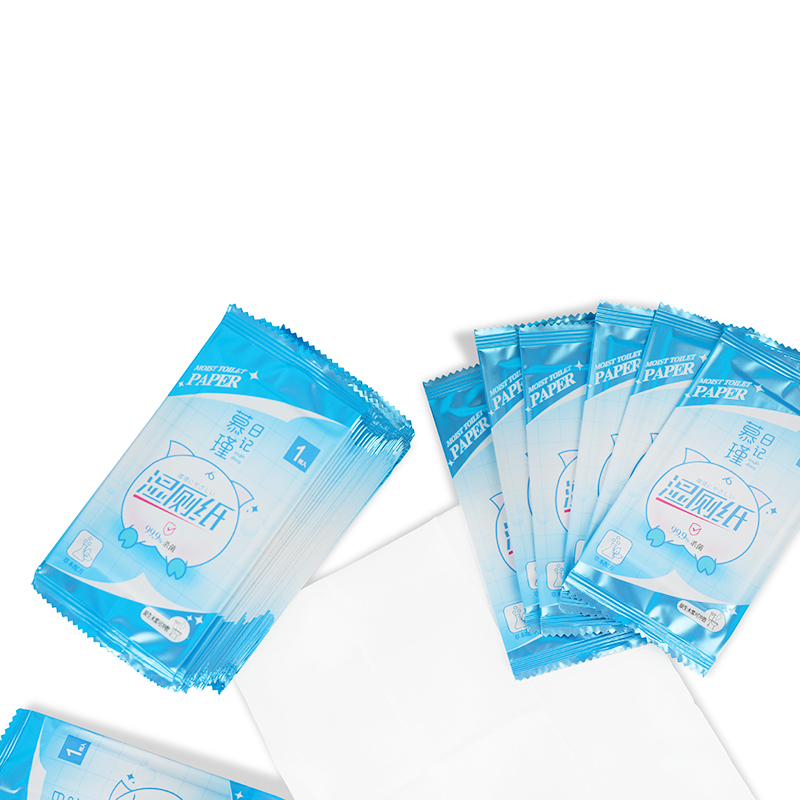 Botanicals & Aloe Single-Use Eco-Friendly Flushable Wet Wipes Safe for Septic Systems