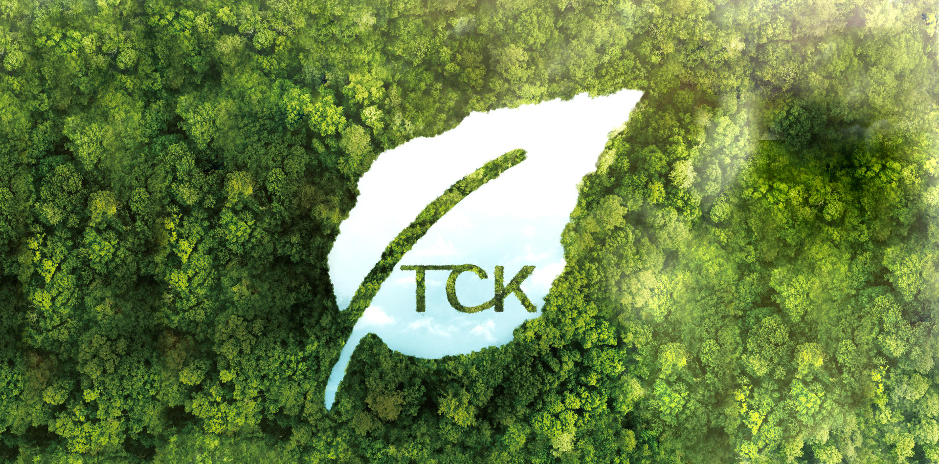Shanghai Taicikang Industrial Co., Ltd.